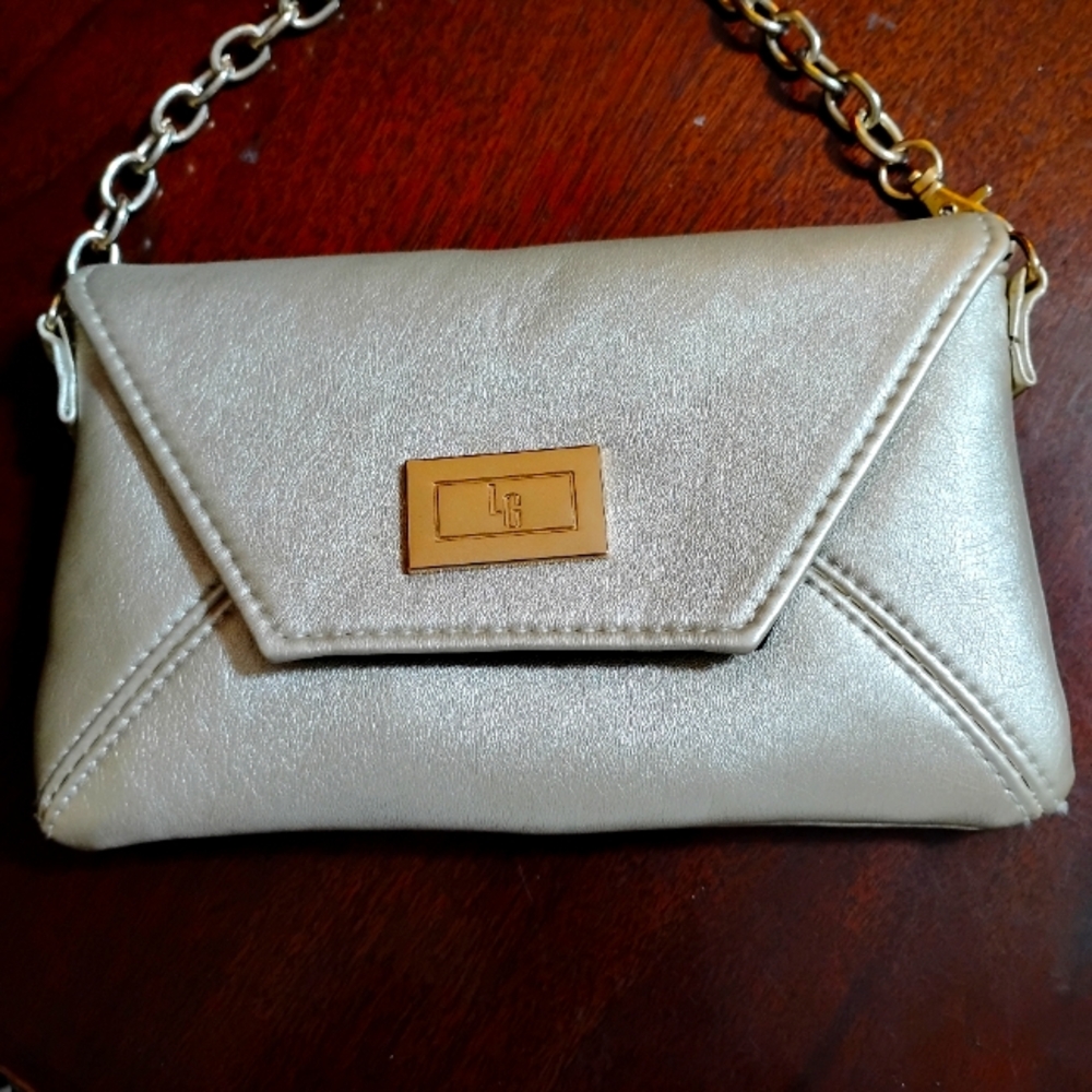 Small LG silver clutch/purse